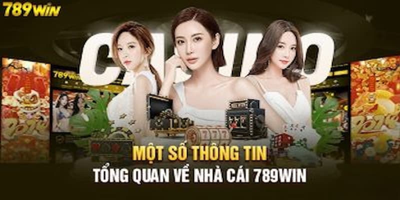 Hướng Dẫn Các Bước Tải App 789win Chi Tiết Dành Cho Tân Thủ